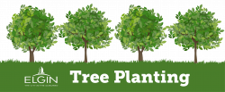 Tree Planting | City of Elgin, Illinois - Official Website
