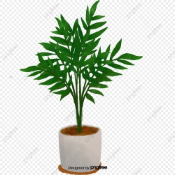 Potted Planting Of Green Leaves, Leaf, Scenes, Ornament PNG ...