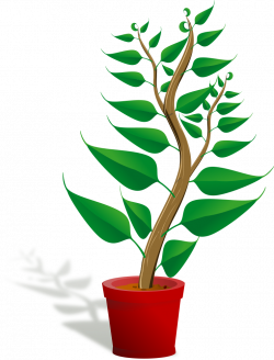 OnlineLabels Clip Art - Green Tall Plant In Its Pot