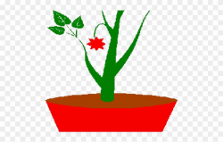 Pot Plant Clipart Planting - Png Download (#2323800 ...