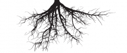roots-1024x434.png (1024×434) | Drawings of Trees | Pinterest | Logo ...