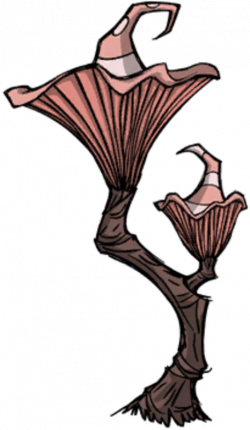 Mushtree | Don't Starve game Wiki | FANDOM powered by Wikia