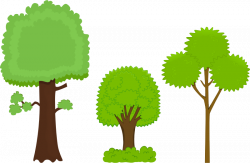 Clipart - Trees