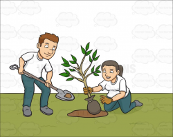 A male volunteer planting small tree #cartoon #clipart ...