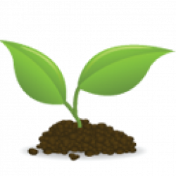 Seedling Sprouting Clip art - others 1024*1024 transprent Png Free ...