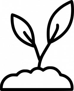 Sprouting Plant Svg Png Icon Free Download (#498998 ...