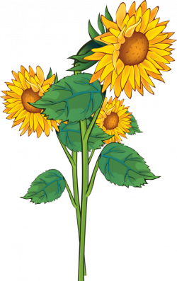 Plants clipart sunflower plant ~ Frames ~ Illustrations ~ HD images ...