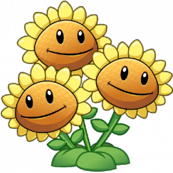 Image - Three head sunflower close up.png | Plants vs. Zombies Wiki ...