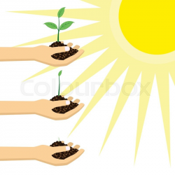 Growing Plant Clipart | Free download best Growing Plant ...