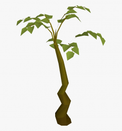 Bush Clipart Tall Plant - Plants, Cliparts & Cartoons - Jing.fm