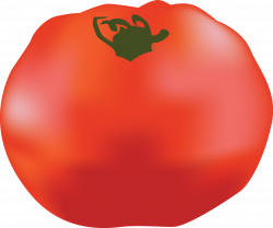 Popular Tomato guide Part 4 — Steemit