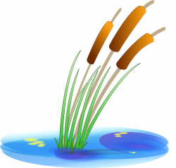 Water plant clipart - Clipground