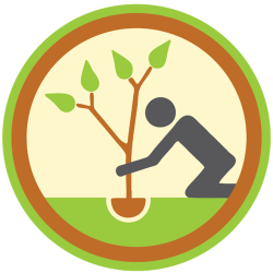 Tree Planting - 10 Good Reasons - treeOcode Niagara