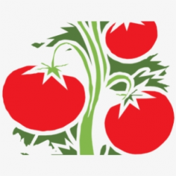 Tomato Clipart Vegetable Planting - Tomato Plant Icon Png ...