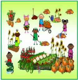 Vegetables Archives - Playtime Seychelles blog