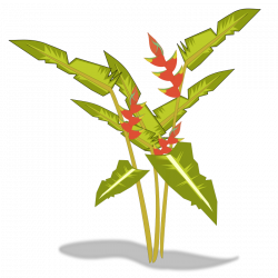 Plants Clipart Free | Free download best Plants Clipart Free on ...