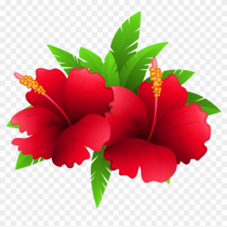 Exotic Flowers And Plant Clipart Image Gallery Png ...