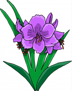 Free Free Plant Pictures, Download Free Clip Art, Free Clip ...