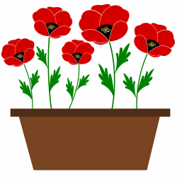 Clipart - Poppies in a pot, just like that!