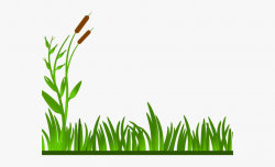 Swamp Clipart River Plant - Black And White Grass #156176 ...