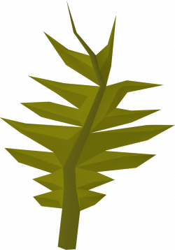 Swamp weed | RuneScape Wiki | FANDOM powered by Wikia