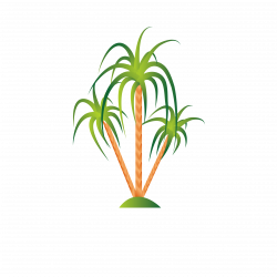 Illustration - Tropical plants 2362*2362 transprent Png Free ...