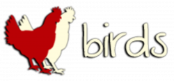 Birds - Hollywood Delivery - 5925 Franklin Ave Los Angeles | Order ...