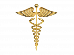 Medicine Staff of Hermes Symbol Physician Clip art - Gold plate 1770 ...