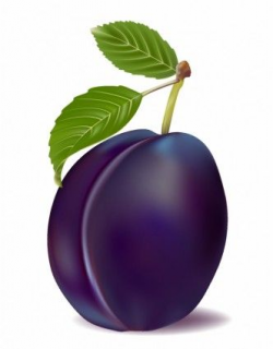 plum and leaves | WackyFood | Pinterest | Leaves, Food clipart and ...