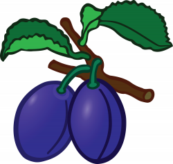 Plums Clipart | Free download best Plums Clipart on ...