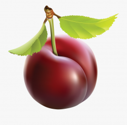 Cherry Clipart Plums - Plum Png , Transparent Cartoon, Free ...