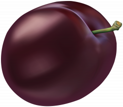 Plum PNG Clip Art - Best WEB Clipart