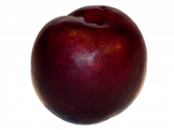 Plum PNG Images Transparent Free Download | PNGMart.com