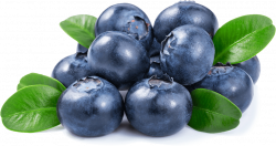 Blueberries PNG Image - PurePNG | Free transparent CC0 PNG Image Library