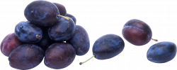 Plum PNG images free download