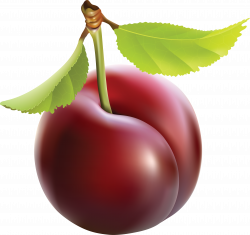 Image result for plum clip art | Food Prints (6th) (+ Family Recipe ...