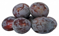 Plums PNG Image - PurePNG | Free transparent CC0 PNG Image Library