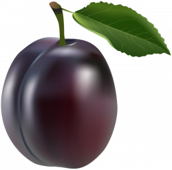 Gallery - Fruit PNG