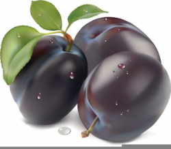 Purple Plum Clipart | Free Images at Clker.com - vector clip ...