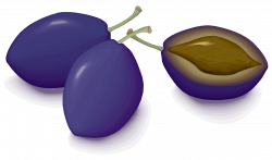 File:Plums.svg - Wikimedia Commons