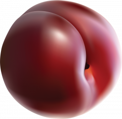 plum png - Free PNG Images | TOPpng