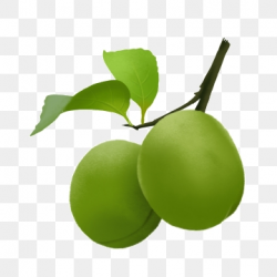 Green Plum Png, Vector, PSD, and Clipart With Transparent ...