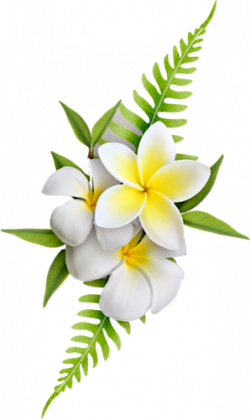 Exotic Flowers (61).png | transfer decoupage kwiaty | Pinterest ...