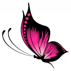 Pink Butterfly PNG File | PNG Mart