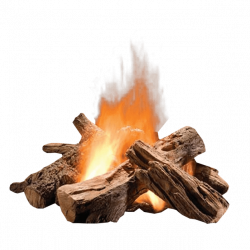 Log Fire transparent background image