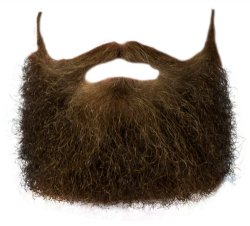 Beard PNG Transparent Image - PngPix