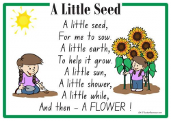 A Little Seed Rhyme- a printable nursery rhyme - great for ...