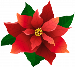 Christmas Poinsettia Red Transparent Clip Art | Gallery ...