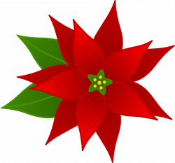 Free Poinsettias Cliparts, Download Free Clip Art, Free Clip Art on ...