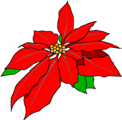 Free Pictures Of Poinsettias, Download Free Clip Art, Free ...